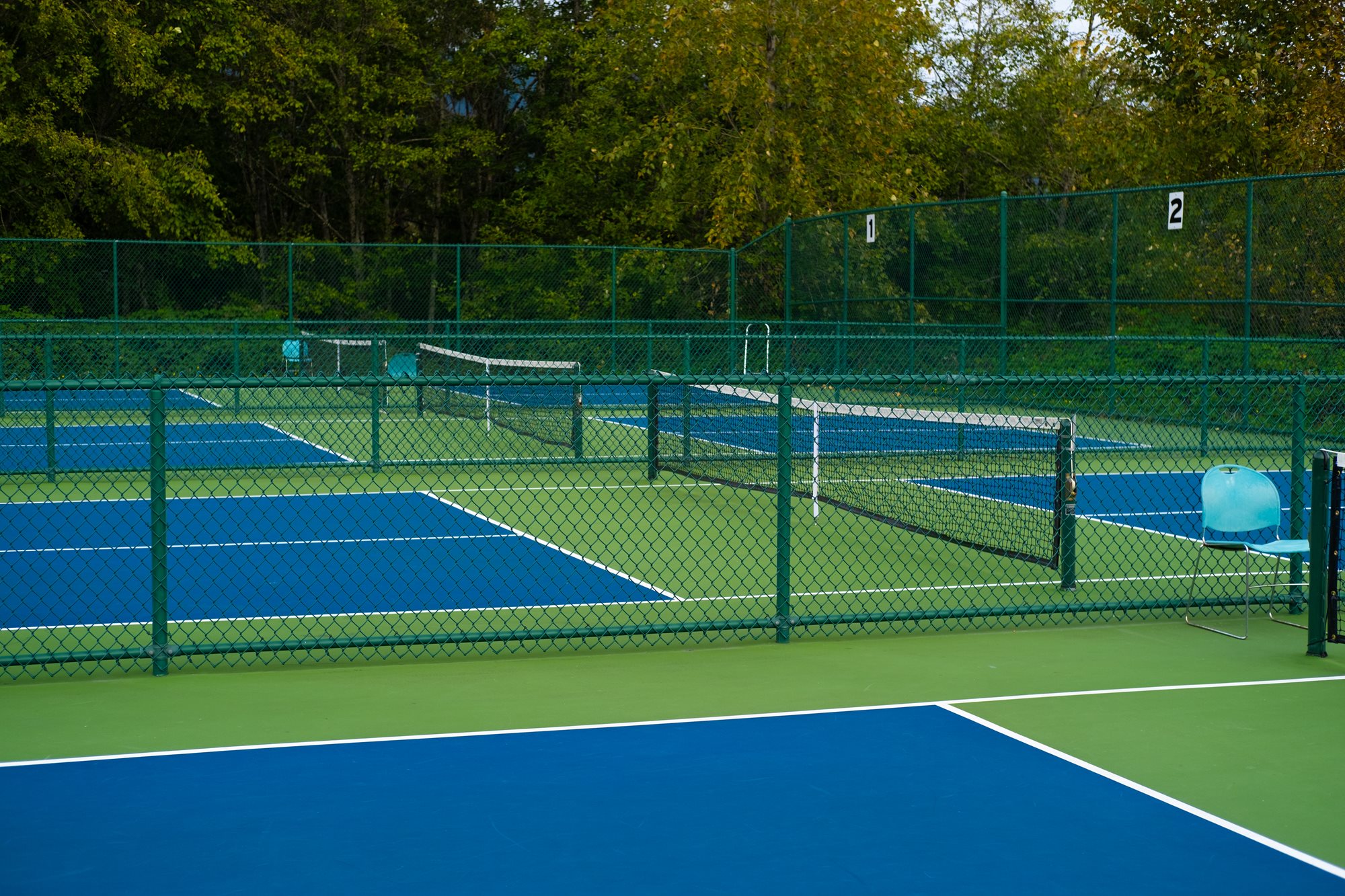 Pickleball